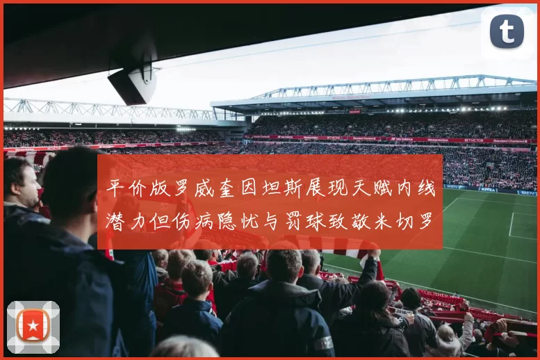 平价版罗威奎因坦斯展现天赋内线潜力但伤病隐忧与罚球致敬米切罗