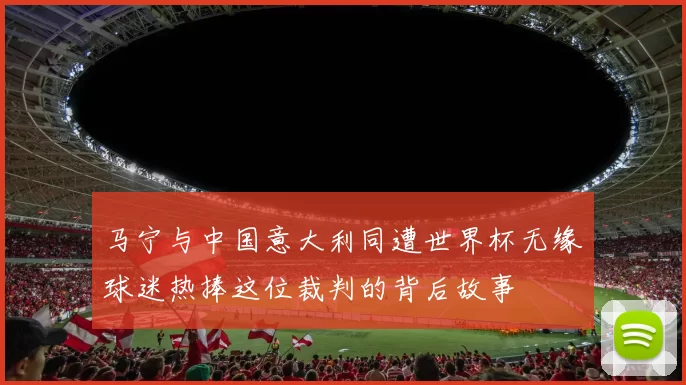 马宁与中国意大利同遭世界杯无缘球迷热捧这位裁判的背后故事